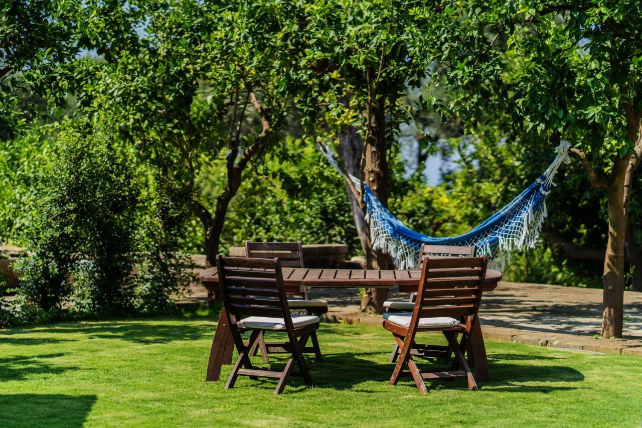 Bed and Breakfast Lemon Factor Сорренто Екстер'єр фото